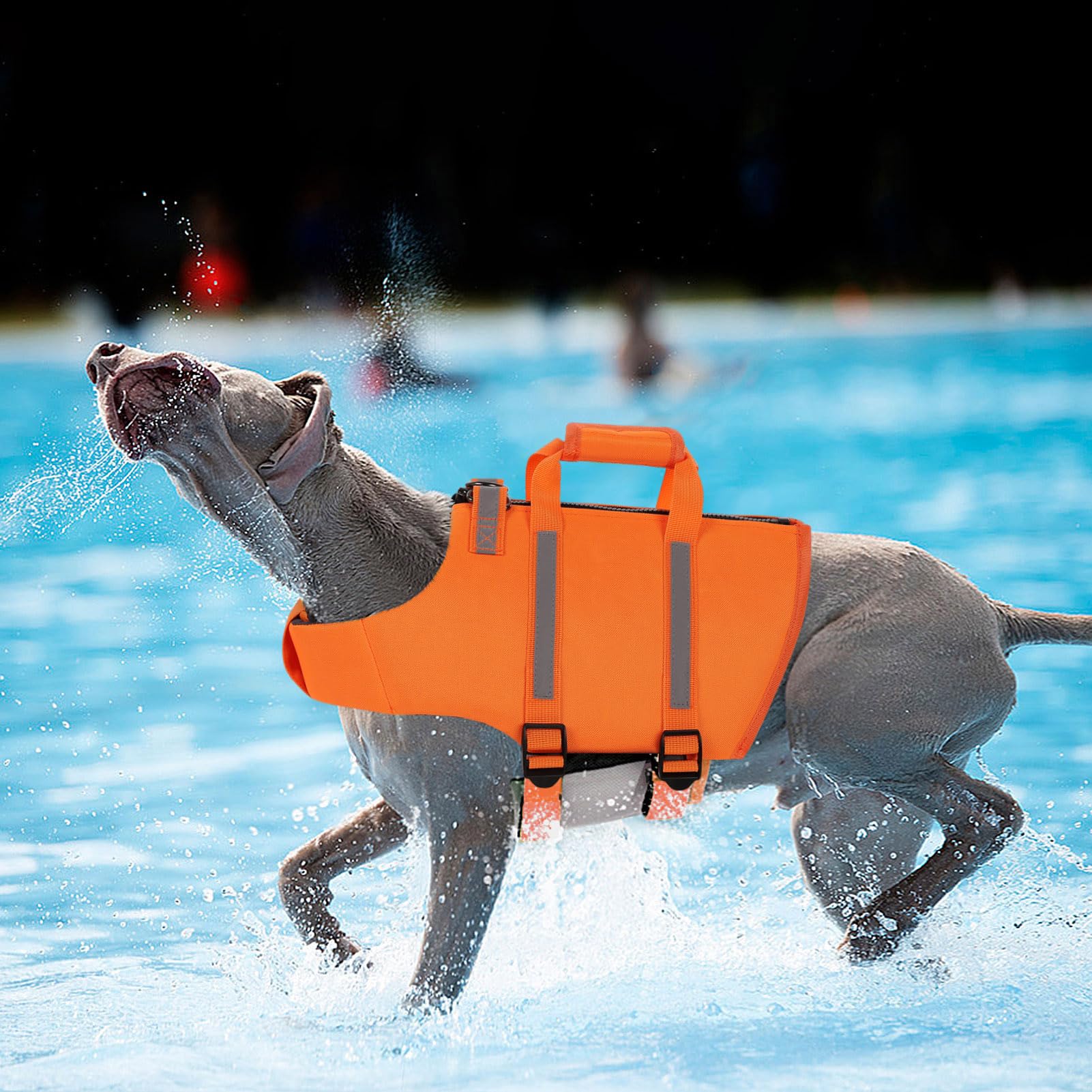 Queenmore Dog Life Jacket - Adjustable Swim Vest With Rescue Handle, Zipper (Orange, M)